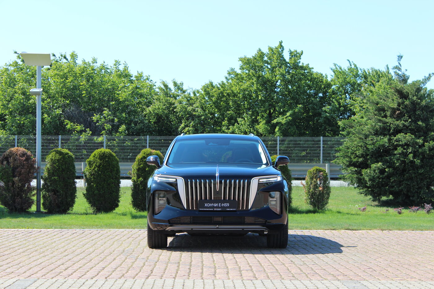 Hongqi E-HS9 Deluxe 551 л.с. 2021